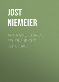 Jost Niemeier. Anna und Charly: Feuer auf Gut Reiterbach
