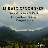 . Der Michl und sein Todfeind / Herzmanski der Getreue