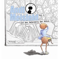 Tom Steinbrecher. Andi Meisfeld, Folge 5: Andi Meisfeld und das Geheimnis der R?hre 13