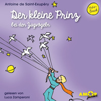 . Der kleine Prinz bei den Zugv?geln - Der kleine Prinz, Band 5 (Ungek?rzt)