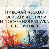 . Последняя встреча и последняя разлука с Шевченко