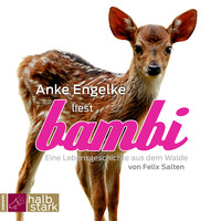 . Bambi