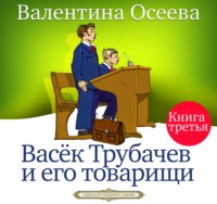 . Васек Трубачев и его товарищи. Книга третья