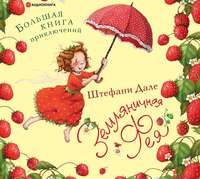 Штефани Дале. Земляничная фея. Большая книга приключений