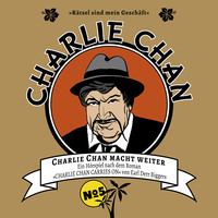 . Charlie Chan, Fall 5: Charlie Chan macht weiter