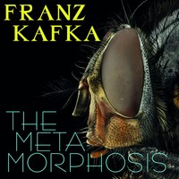 . The Metamorphosis