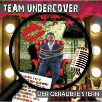 . Team Undercover, Folge 5: Der geraubte Stern