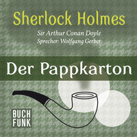 . Der Pappkarton - Der letzte Streich, Band 2 (Ungek?rzt)