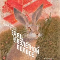 . Заяц на взлётной полосе