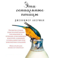 . Эти гениальные птицы