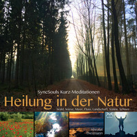 . Heilung in der Natur - SyncSouls Kurzmeditationen: Wald, Wiese, Meer, Fluss, Landschaft, Sonne, Schnee