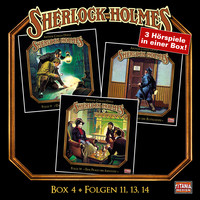 . Sherlock Holmes - Die geheimen F?lle des Meisterdetektivs, Box 4: Folgen 11, 13, 14