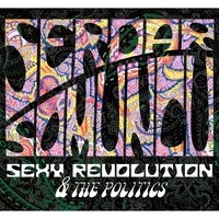 . Serdar Somuncu, Sexy Revolution & The Politics