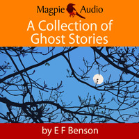 . A Collection of Ghost Stories (Unabridged)