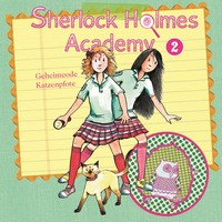 . Sherlock Holmes Academy, Folge 2: Geheimcode Katzenpfote