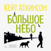 . Большое небо