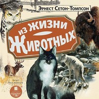 . Из жизни животных