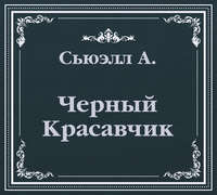 . Черный Красавчик (сокращенный пересказ)