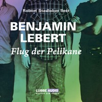 . Flug der Pelikane