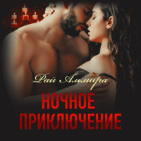 . Ночное приключение