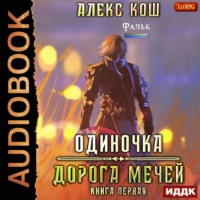 . Одиночка. Дорога мечей