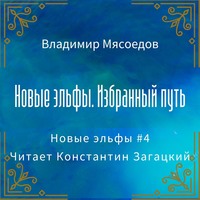 Владимир Мясоедов. Новые эльфы. Избранный путь