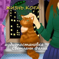 . Жизнь кота