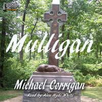 . Mulligan - A Civil War Journey (Unadbridged)
