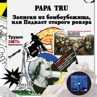. Записки из бомбоубежища, или Подкаст старого рокера