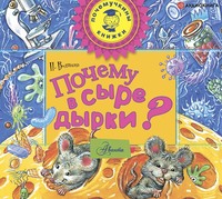 . Почему в сыре дырки?