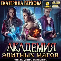 . Академия элитных магов