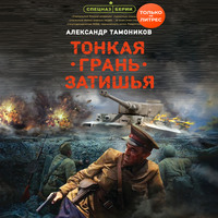 Александр Тамоников. Тонкая грань затишья