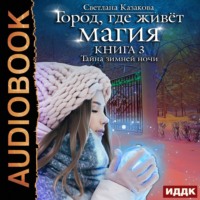 . Тайна зимней ночи
