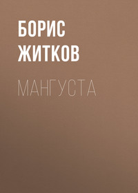 . Мангуста