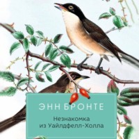 . Незнакомка из Уайлдфелл-Холла