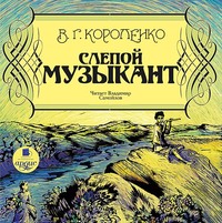 . Слепой музыкант