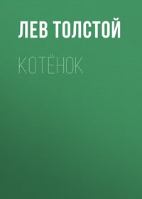 . Котёнок