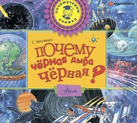 . Почему чёрная дыра чёрная?