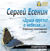 . Душа грустит о небесах… Избранные стихотворения и поэмы