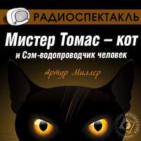 . Мистер Томас–кот и Сэм водопроводчик-человек (спектакль)