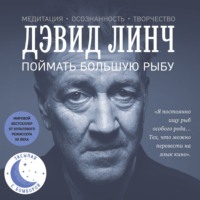 . Поймать большую рыбу. Медитация, осознанность, творчество