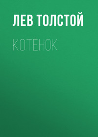 . Котёнок