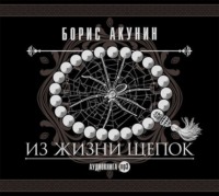 . Из жизни щепок