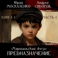 . Предназначение. Книга 1. Часть 1
