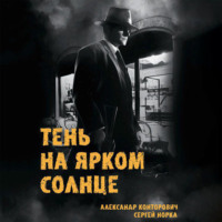 Сергей Норка. Тень на ярком солнце