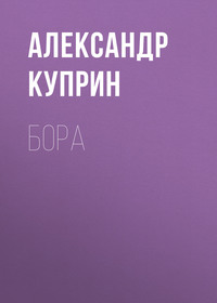 . Бора