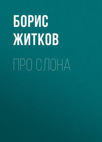 . Про слона
