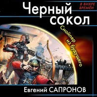 . Черный сокол. Снайпер из будущего