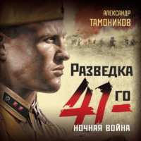 Александр Тамоников. Ночная война