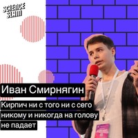 Иван Смирнягин. Кирпич ни с того ни с сего никому и никогда на голову не свалится